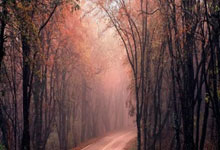 希羅對巴特勒參與比賽的看法 我不是教練無法給出建議.