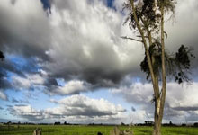 完美体育：[流言板]大补强！亨特加盟骑士后出战6场比赛，骑士无一失利42亮96回复.