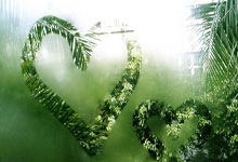 完美体育：唏嘘！28岁萧涛涛已失业3个月 来华4年为国足0出场+赚3600万后退籍.