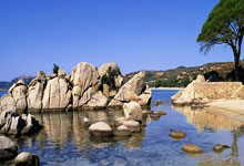 完美体育：[篮球]欧洲篮球联赛 费内巴切战胜皇家马德里.